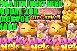 Pola Lucky Neko Hari Ini